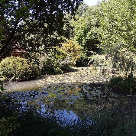 Le Chalet De La Grenouille Verte Tursac 外观 照片
