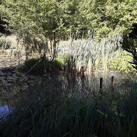 Le Chalet De La Grenouille Verte Tursac 外观 照片