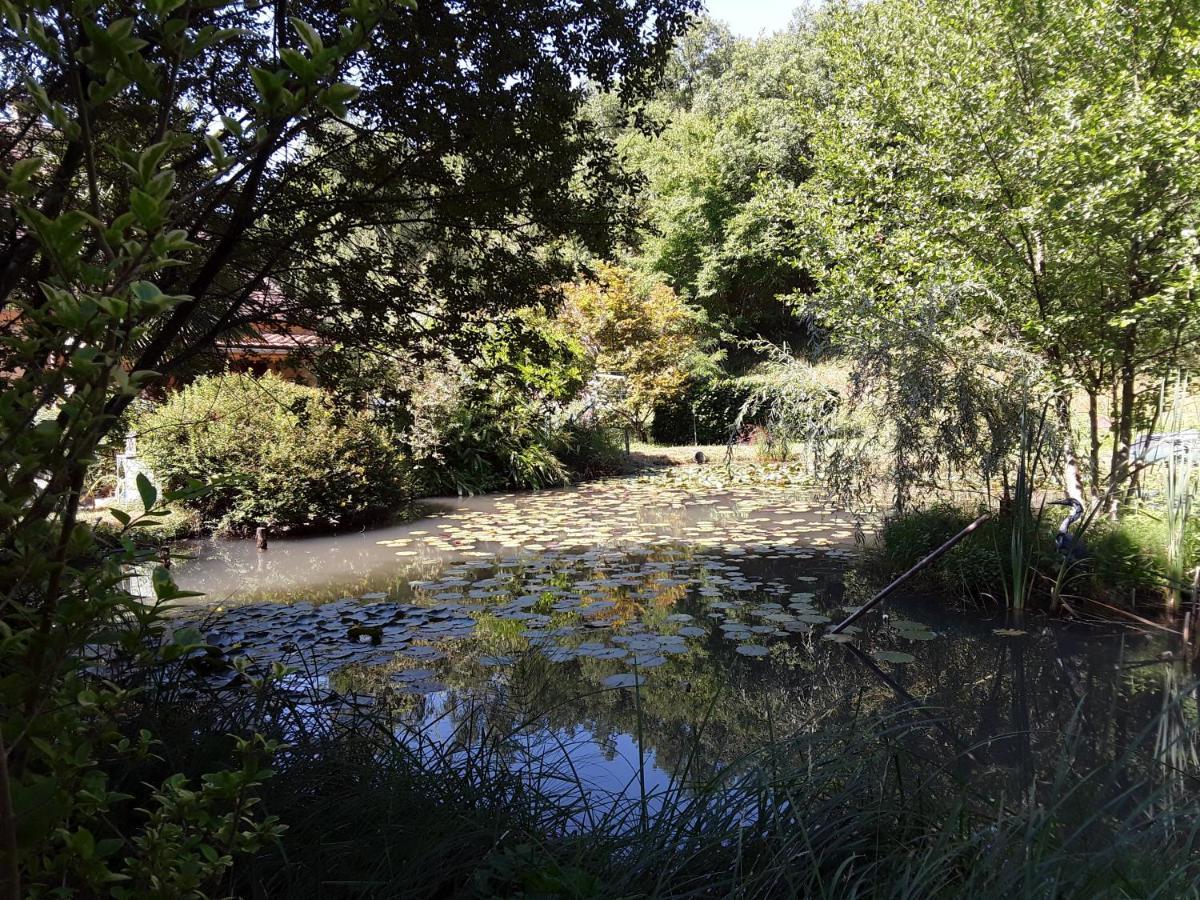 Le Chalet De La Grenouille Verte Tursac 外观 照片