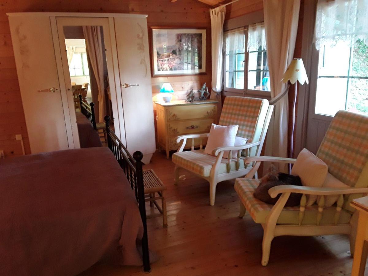 Le Chalet De La Grenouille Verte Tursac 外观 照片