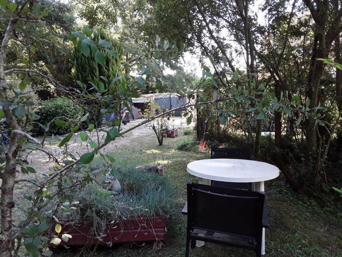 Le Chalet De La Grenouille Verte Tursac 外观 照片