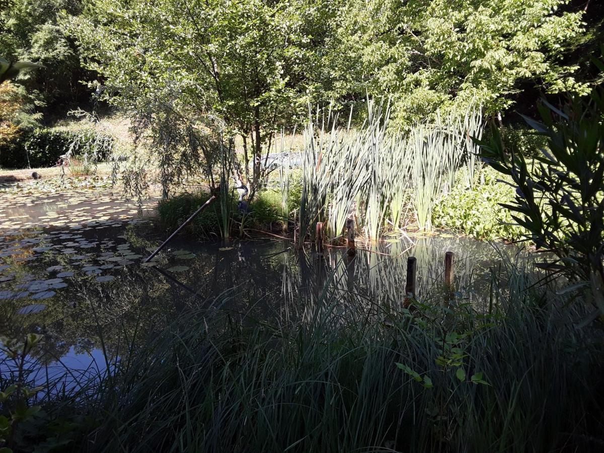 Le Chalet De La Grenouille Verte Tursac 外观 照片